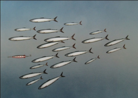 DONALD PROVAN - odd one out